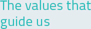 The Values that guide us